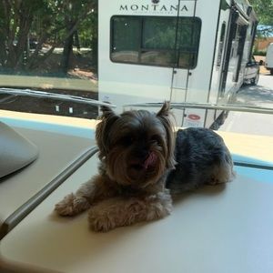 Meet your Posher, Tonya